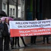 Protest polskich rolników w Brukseli, cz. II