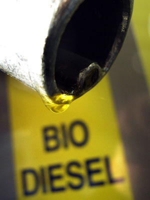 biodiesel.jpg