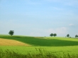 Uwagi do zmian w „Działaniu rolnośrodowiskowo-klimatycznym”
