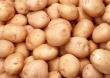 Produkcja ziemniaków a susza