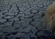 Plan przeciwdziałania skutkom suszy - ruszyły konsultacje 